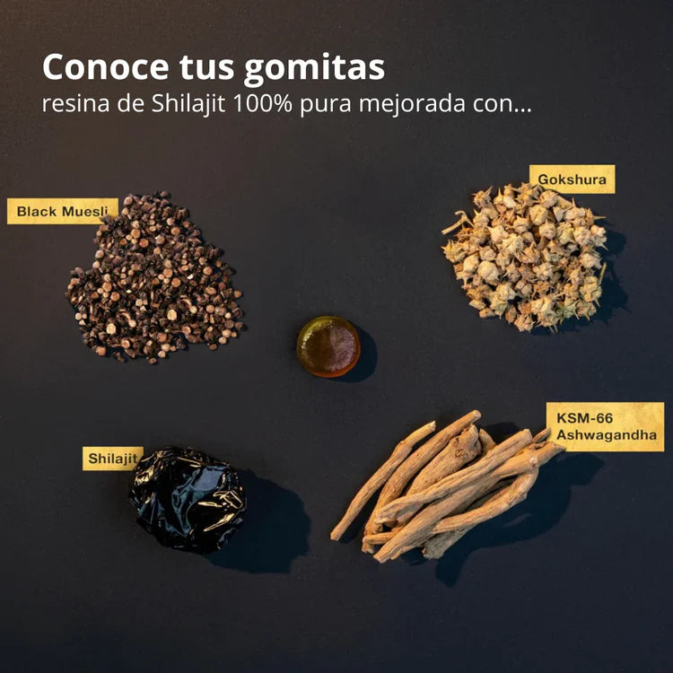 Gomitas de Shilajit 100% Puro del Himalaya (Pack de 60 Gomitas)